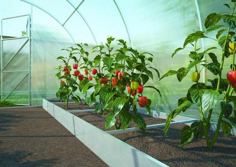 Теплица Greenstorage g1001c 249х305см
