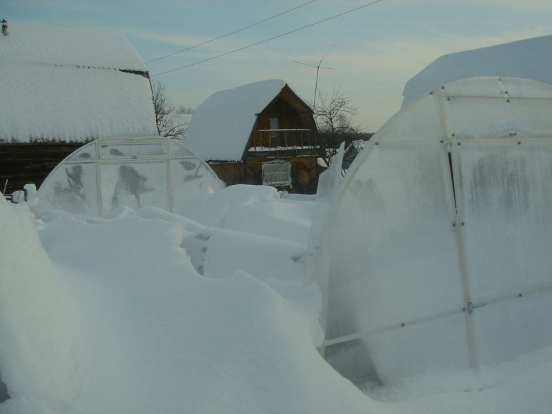 Тосненский завод теплиц теплица