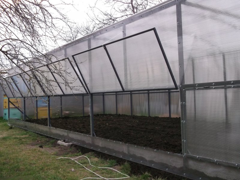 Парник из поликарбоната