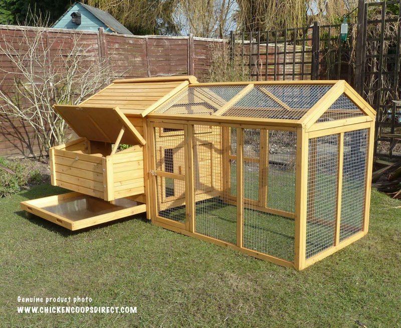 Курятник для разной птицы