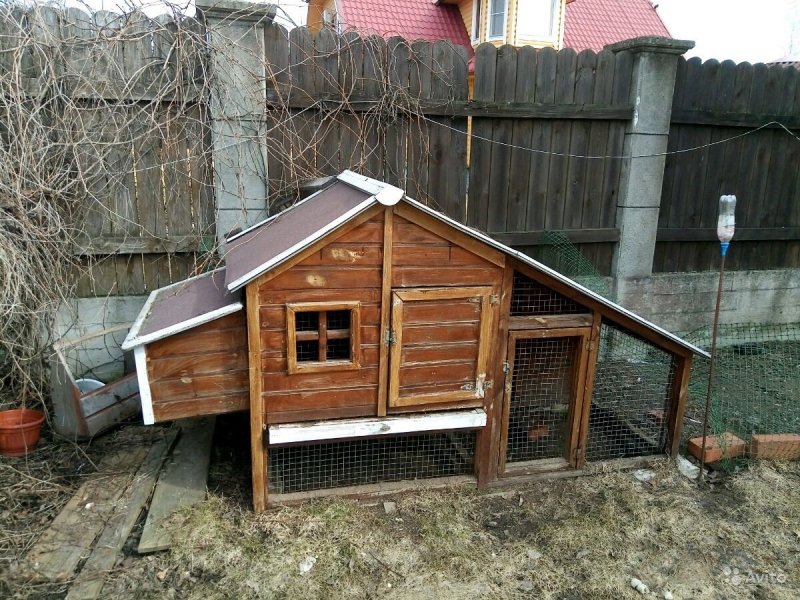 Курятник на сваях