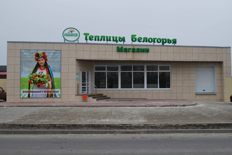Теплицы белогорья (71 фото)
