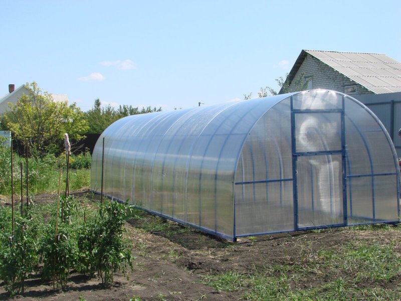 Белгородские теплицы