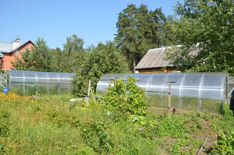 Теплица вдоль забора