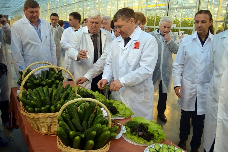 Донская тепличный комплекс