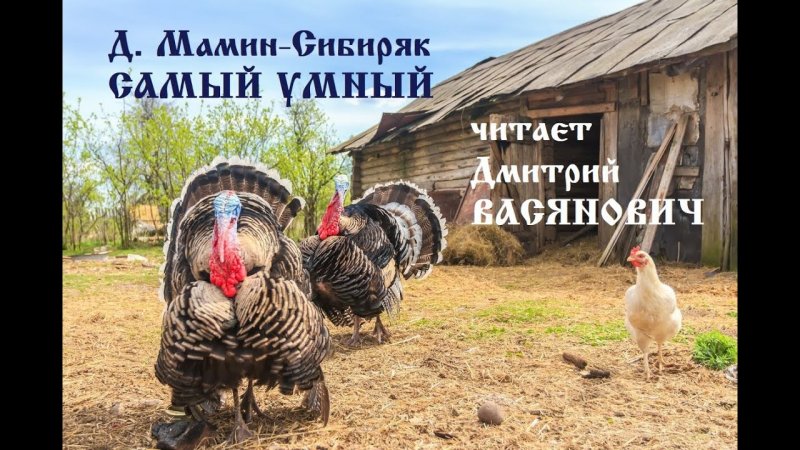 Вольеры для индюков