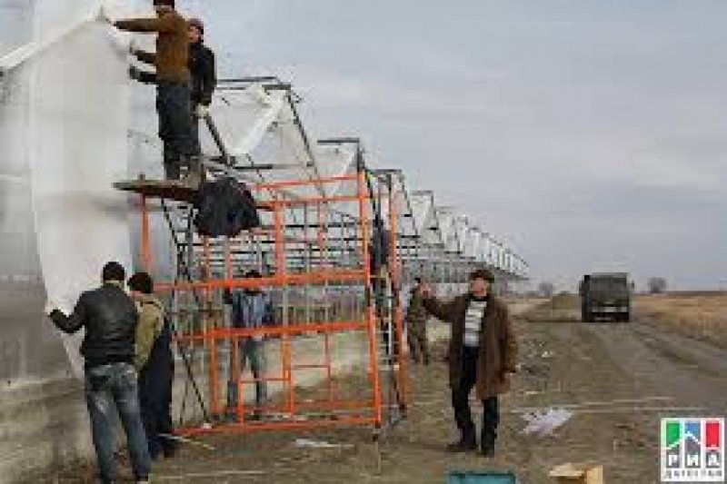Теплицы в Дагестане