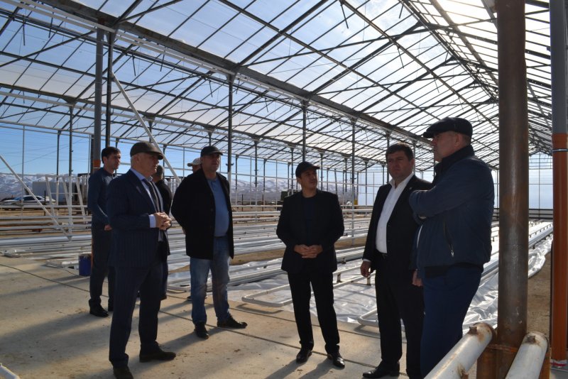 Теплицы в Дагестане