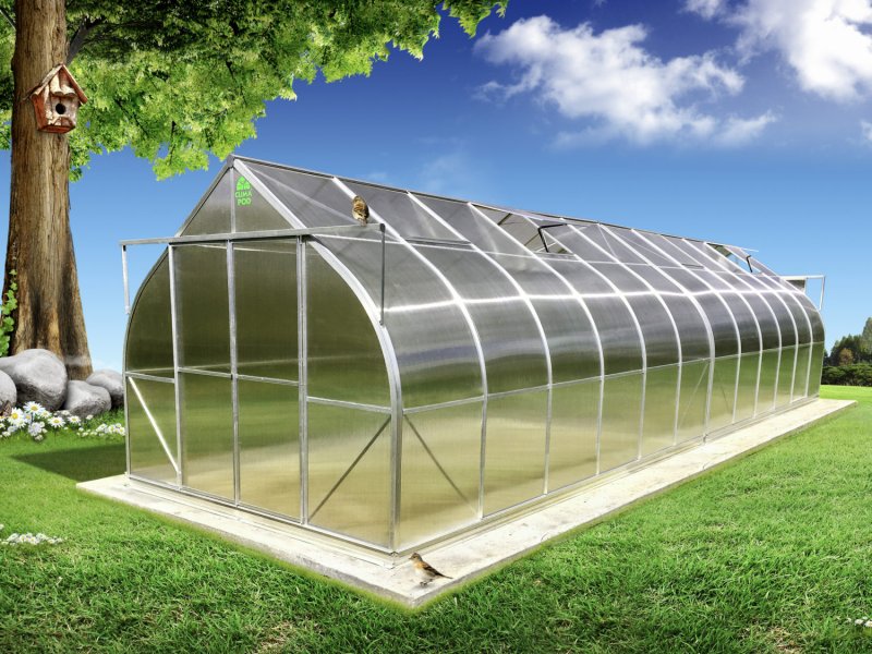 Теплица Greenhouse