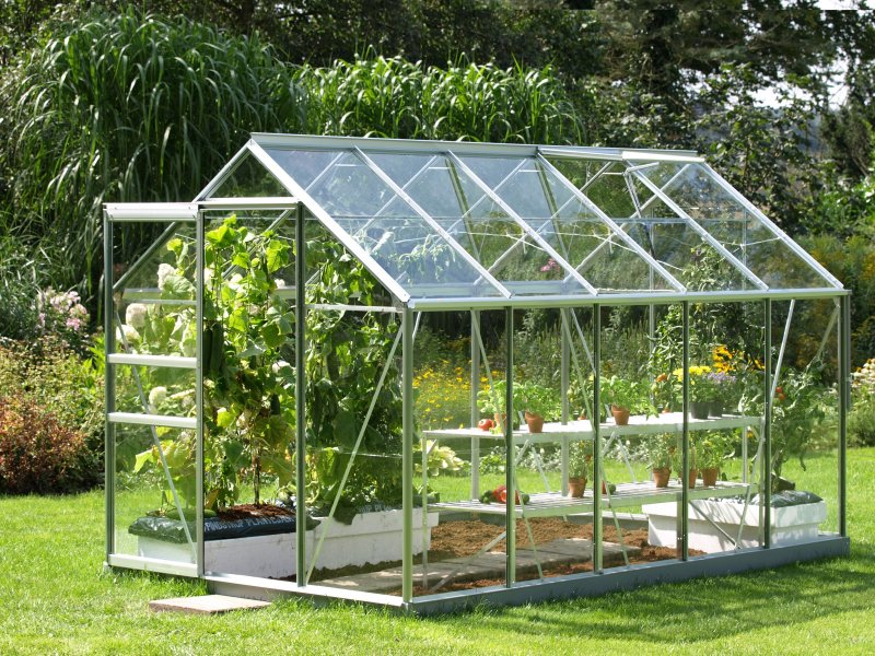 Теплица Greenhouse