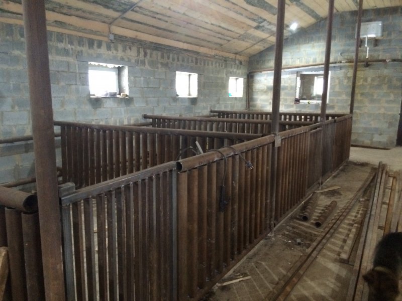 Деревянный свинарник