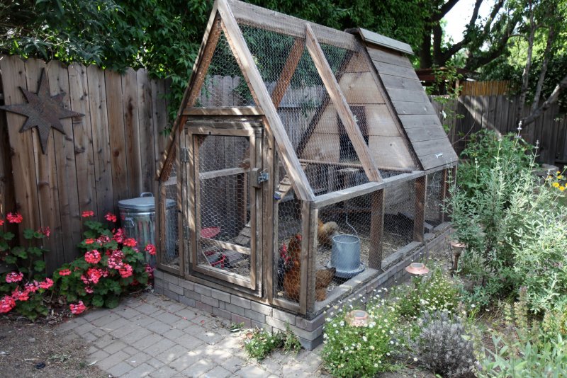 Chicken Coop Курятники