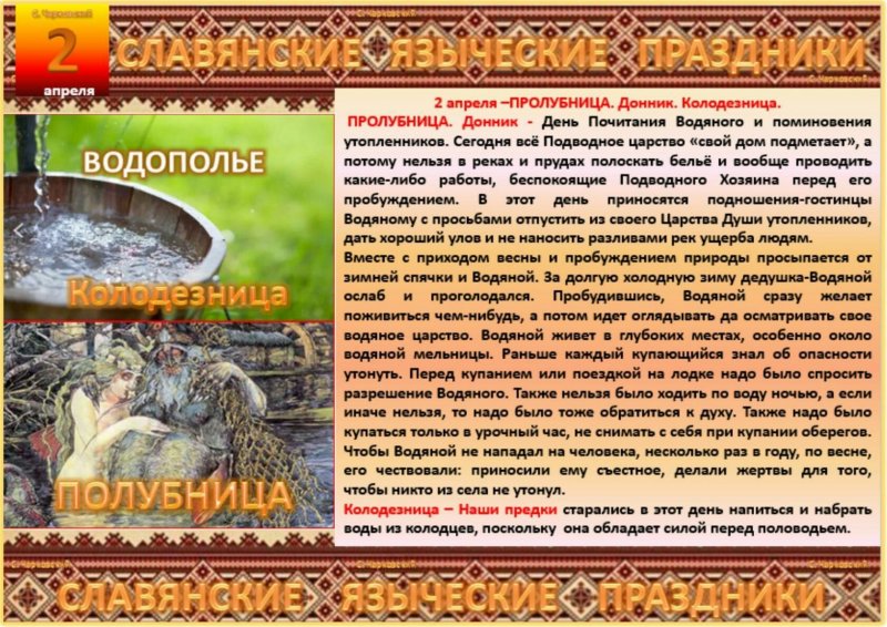 Дерево с белыми цветами в Сочи в ноябре