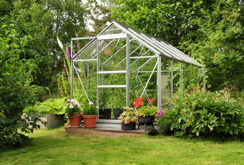 Теплица Greenhouse 1117