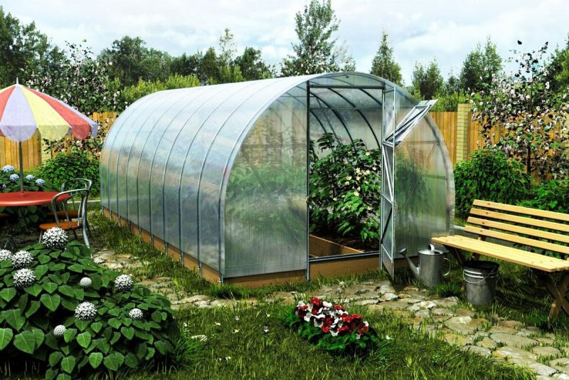 Киновская Прима теплица