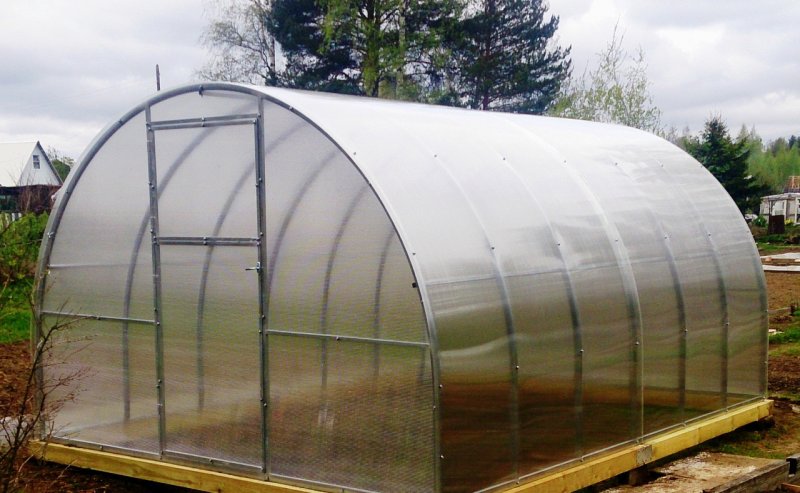 Теплица из поликарбоната стандарт усиленная 3x6