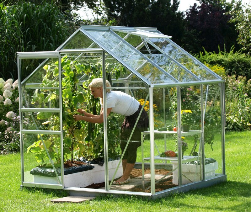 Теплица Greenhouse