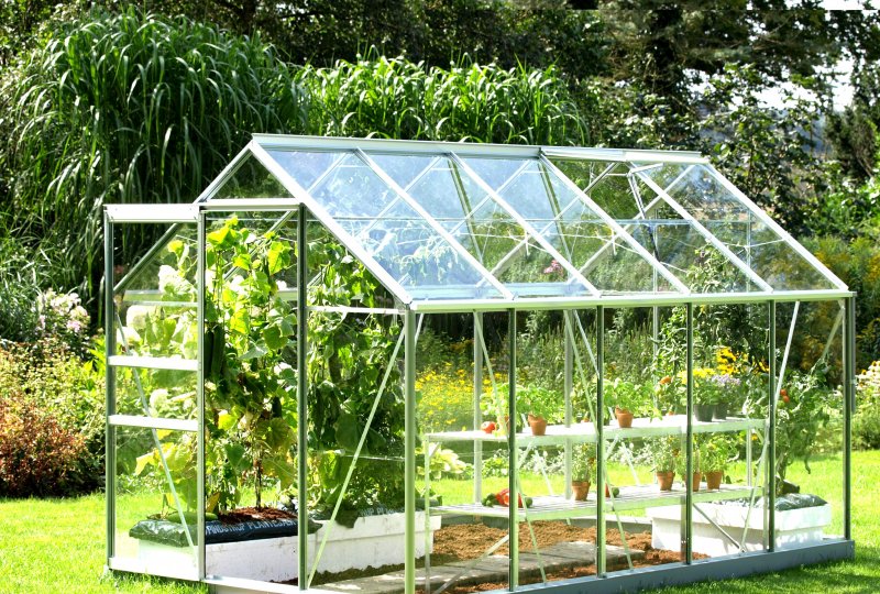 Greenhouse 6x10