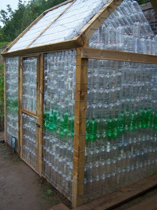 Парник из пластиковых бутылок