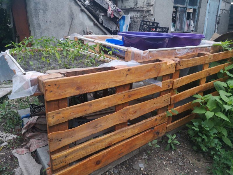 Грядки из деревянных поддонов