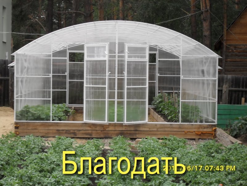 Теплица грибок в Иркутске