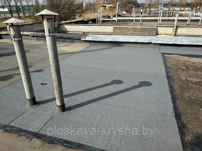 Плавуны на кровле