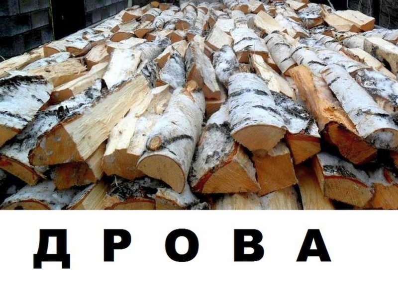 Реклама дрова березовые