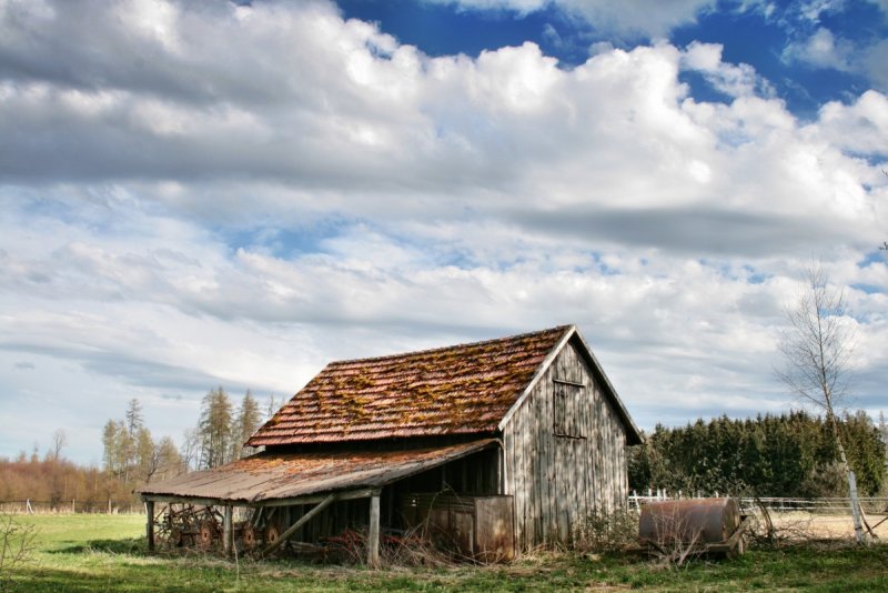 Wood Farm в Сандрингеме