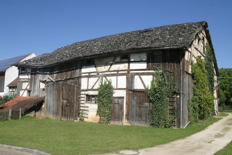 Деревенский Сеник