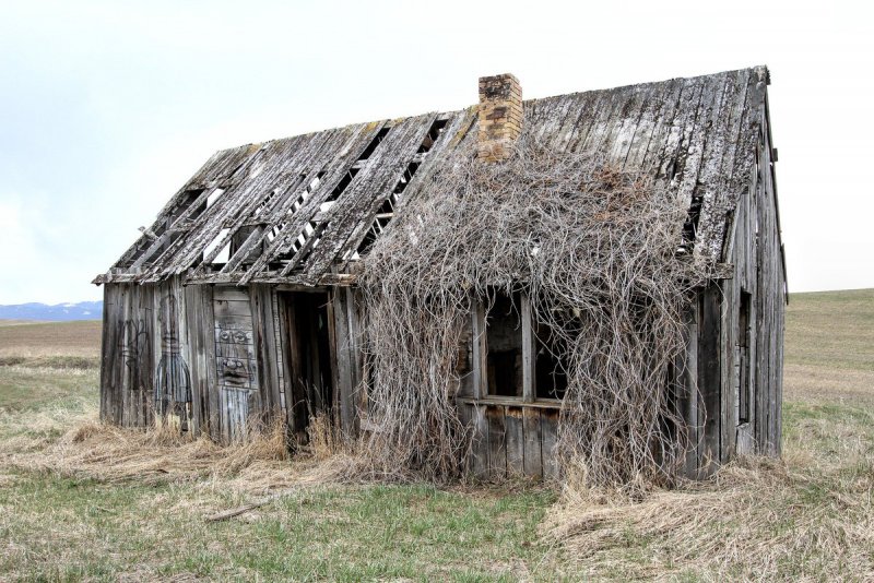 Деревенский коровник