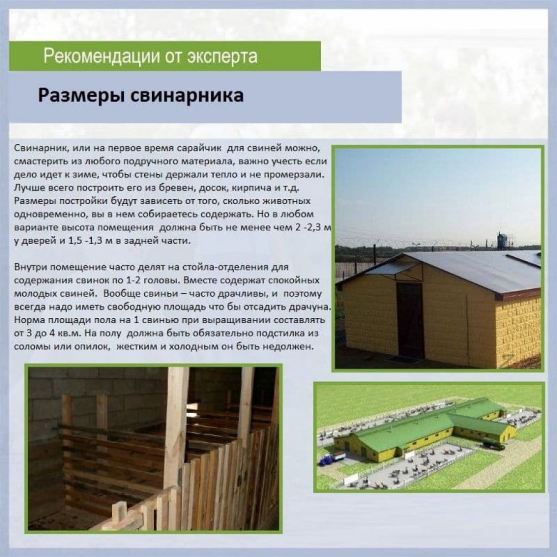 План свинарника своими руками