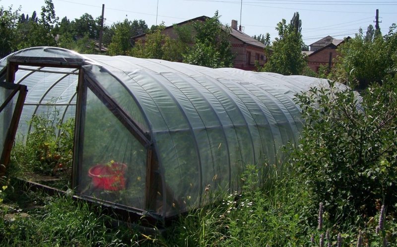 Парник из полипропиленовых труб