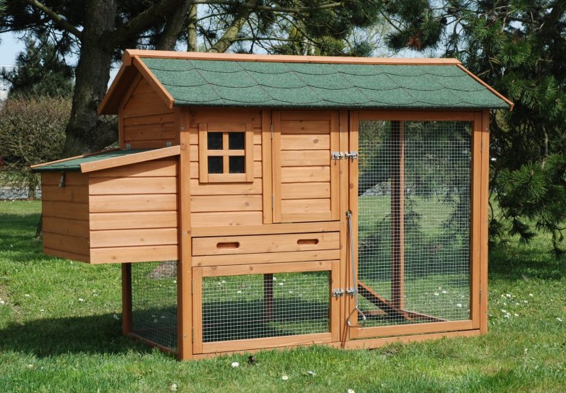 Курятник из клееного бруса