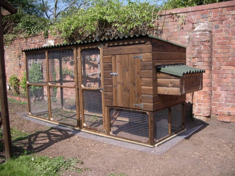 Современный курятник