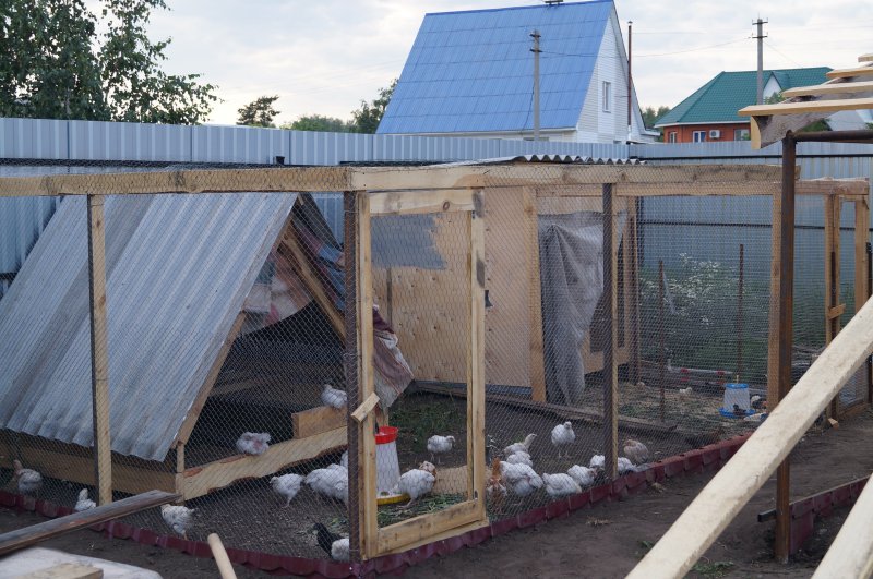 Курятник из профнастила