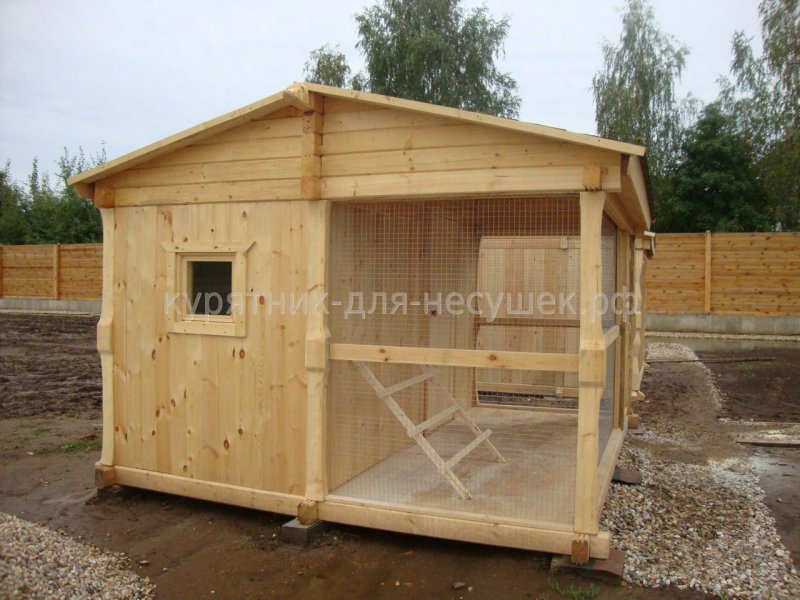 Курятник на 20 курей