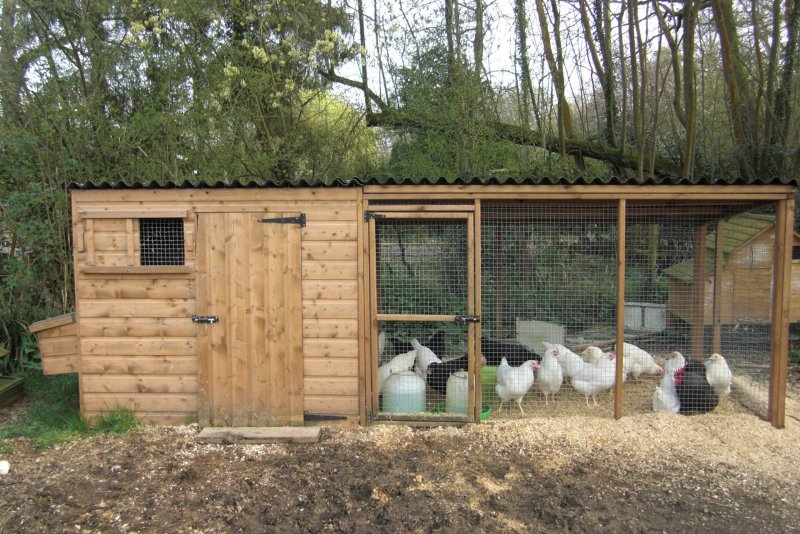 Chicken Coop Курятники