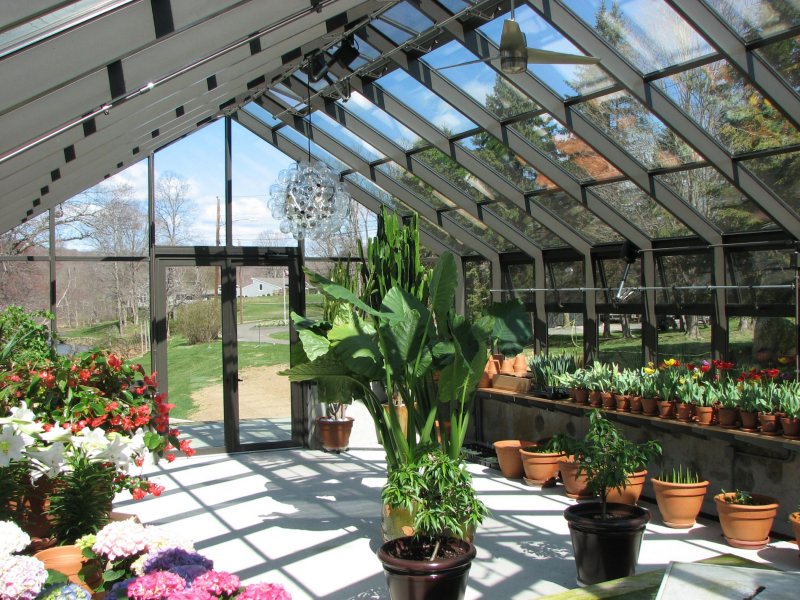 Оранжерея / the Greenhouse