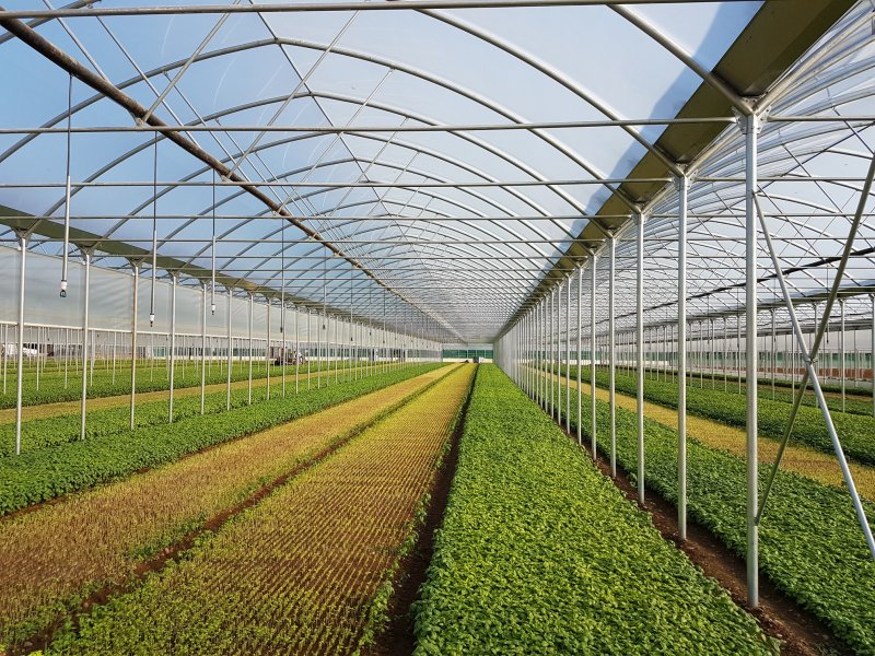 Финские теплицы ECOSLIDER