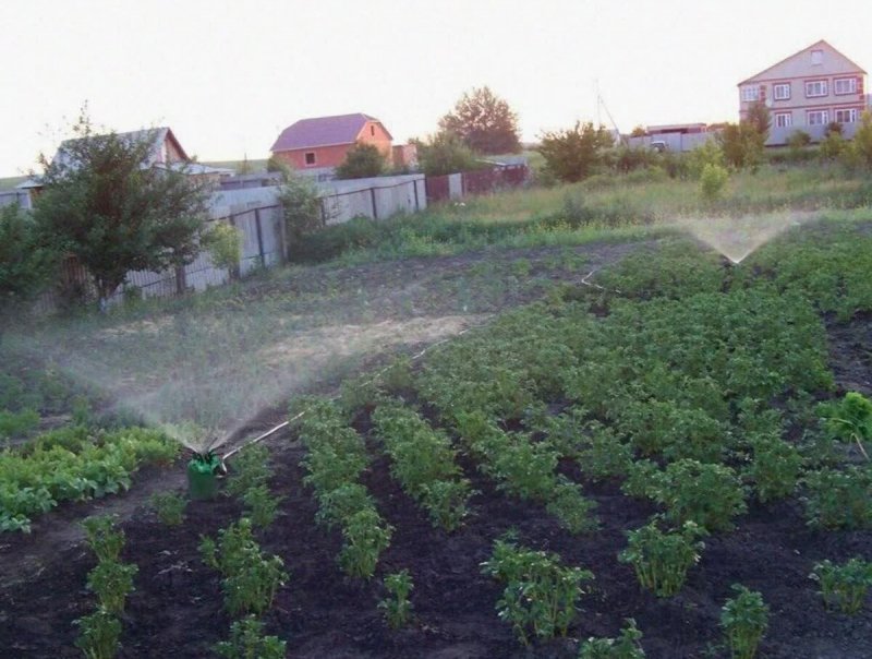 Полив на садовом участке