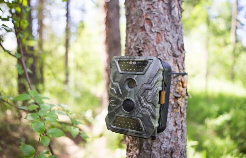 Best Cellular Trail Camera 2020
