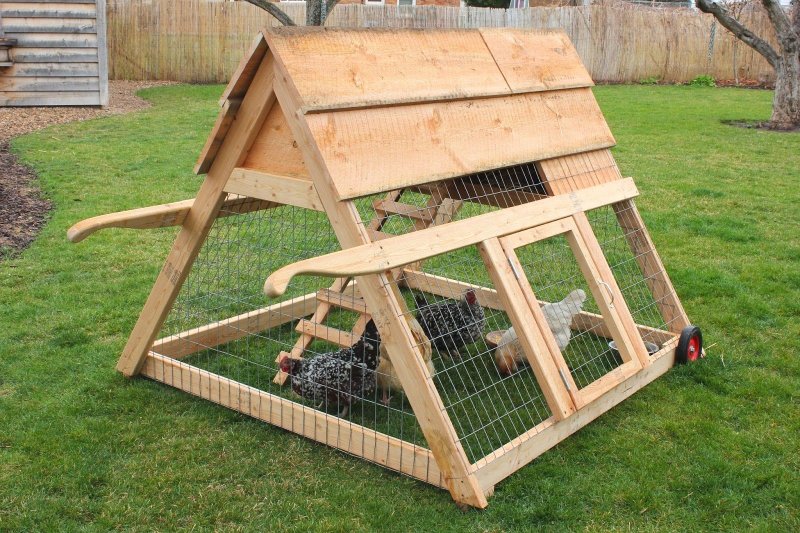 Миникурятник курдом