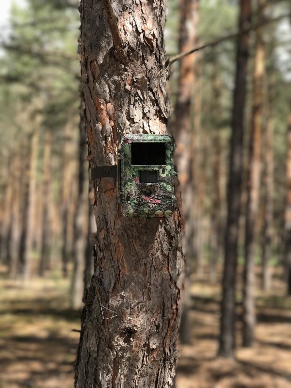 Фотоловушка SCOUTGUARD sg2060-u