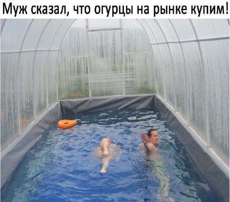 Теплица для бассейна из цветного поликарбоната