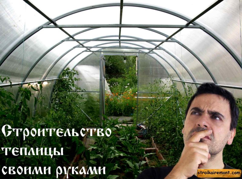 Арочная теплица из дерева
