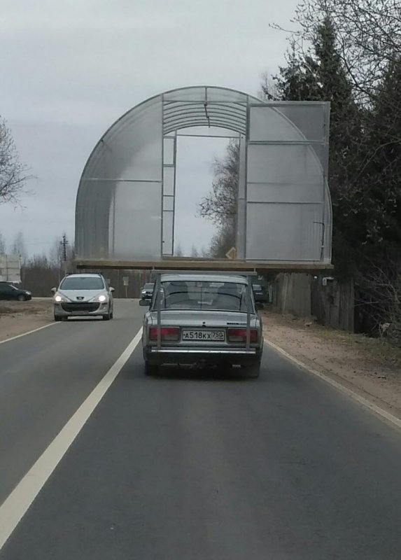 Теплица прикол