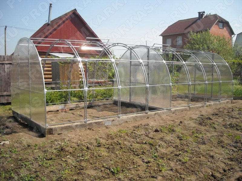 Теплица Кремлевская богатырь