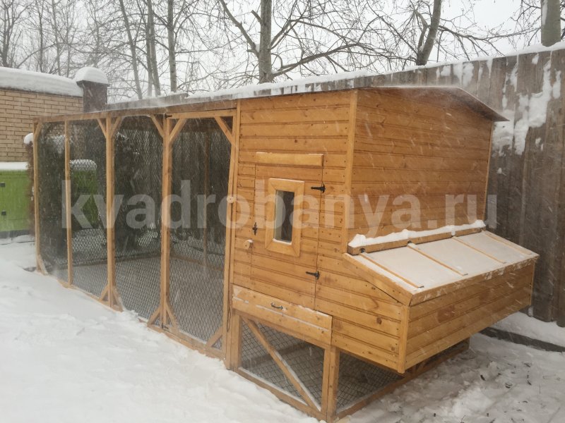 Курятник на 30 кур