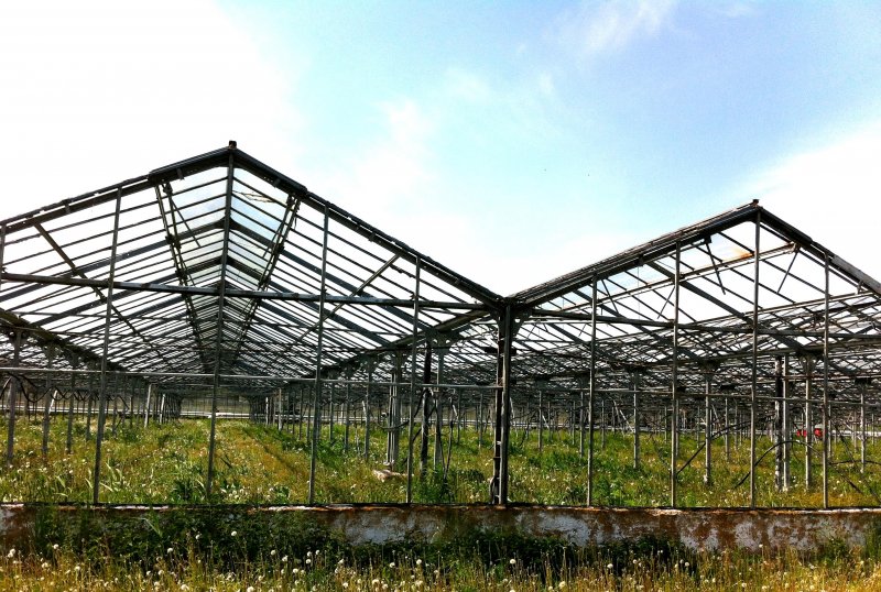 Теплица: Juliana Orangery 15,2m²