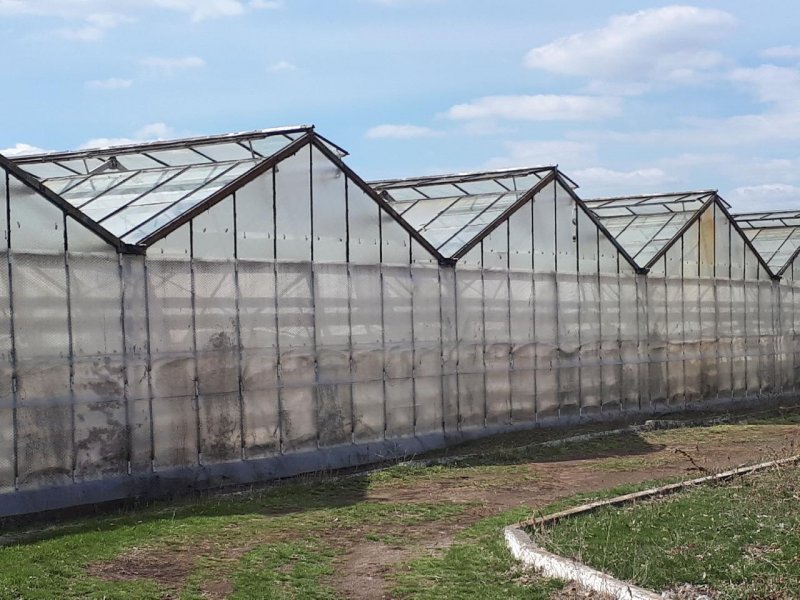 Теплица: Juliana Orangery 15,2m²